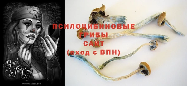 ешки Белокуриха