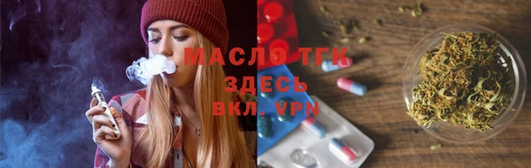 spice Богородицк