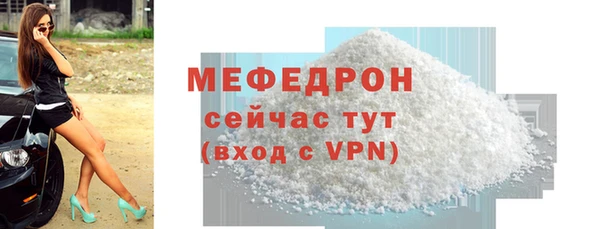 spice Богородицк