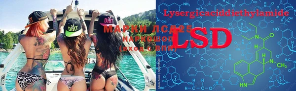 spice Богородицк