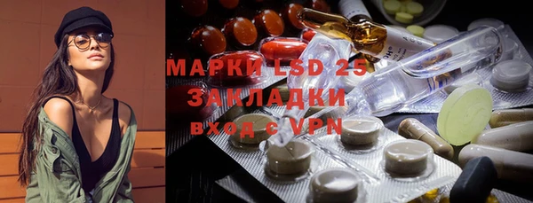 ешки Белокуриха