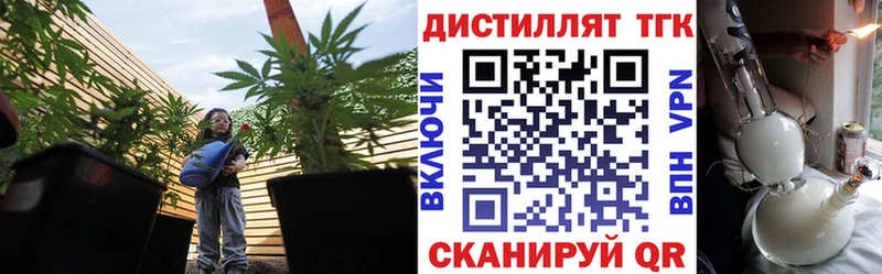 где продают наркотики  Будённовск  Дистиллят ТГК вейп 