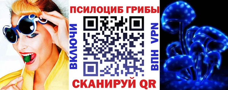 Галлюциногенные грибы мицелий  Будённовск 